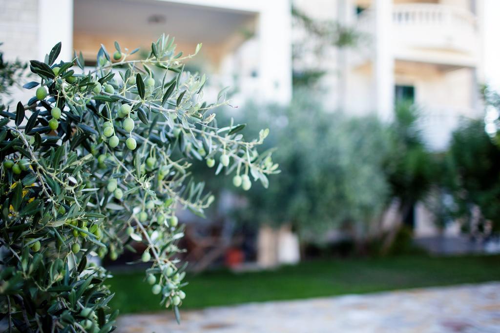 Apartments Villa Barbara Сумартин Экстерьер фото
